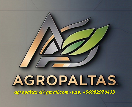 Paltas Concepcion, Chillán Los Angeles, Temuco